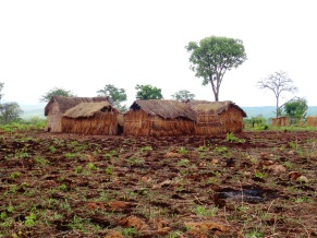 Tanzanian huts on Ikola/Mpanda road