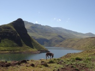 A donkey, a dam and a mountain, Lesotho